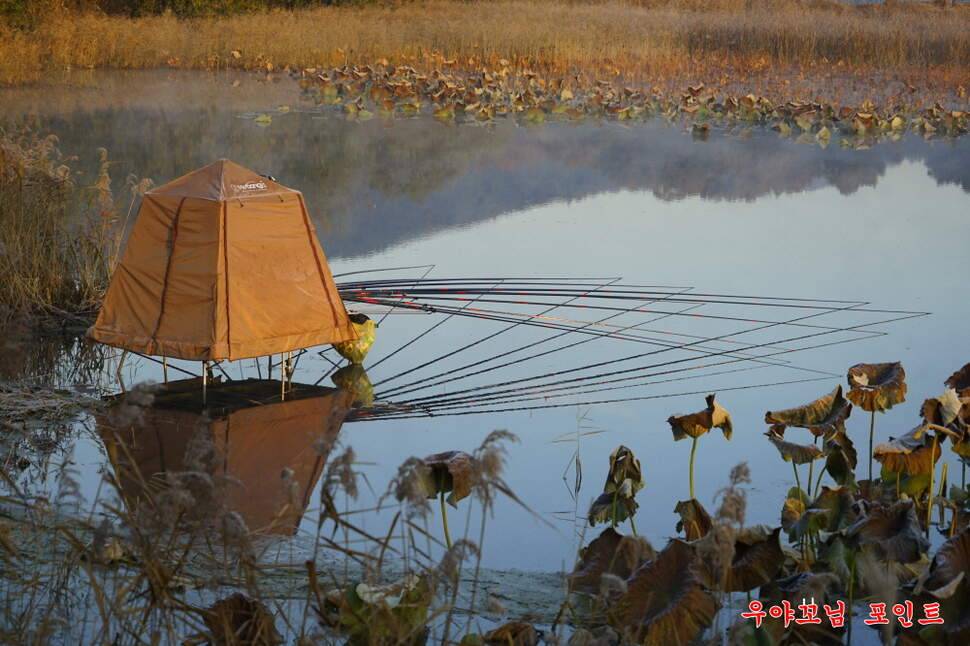 만추 14박 (조황조행기 - 화보조행기)
