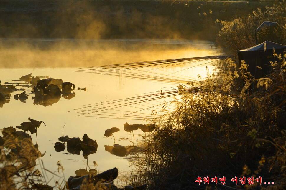 만추 14박 (조황조행기 - 화보조행기)