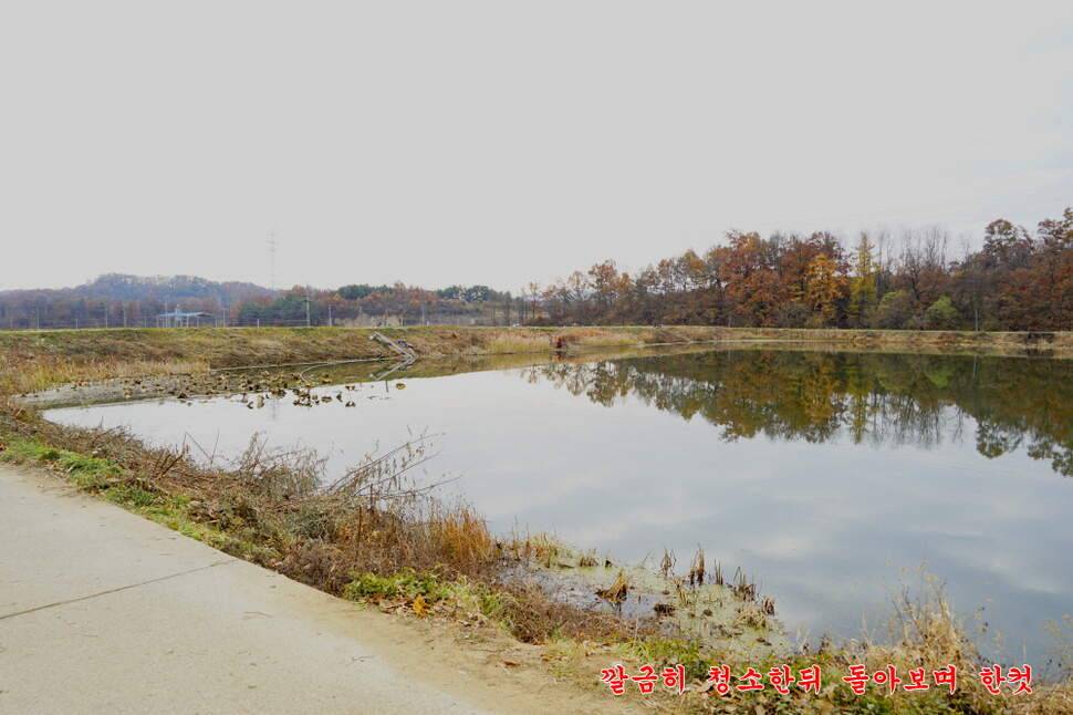 만추 14박 (조황조행기 - 화보조행기)