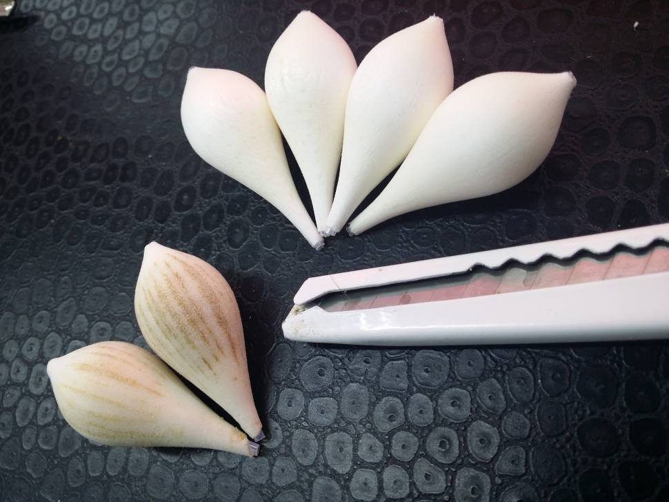해바라기속대 다로마 떡밥찌 (월척지식 - 찌공방)