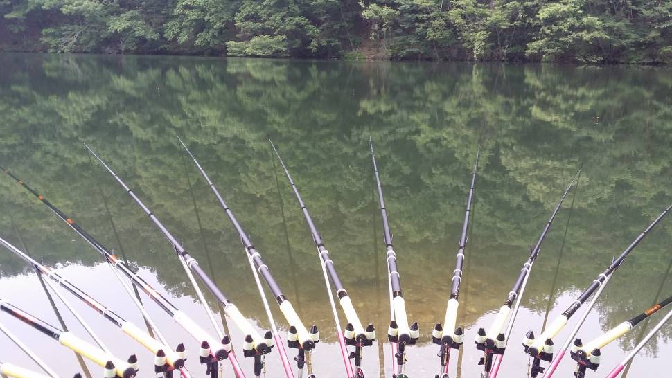 사진 (낚싯대포럼 - 강원)
