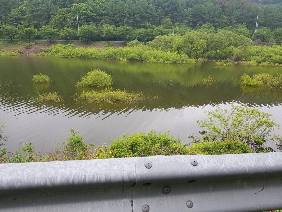 낚시대 선택장애 소중한 정보 부탁드립니다 (낚싯대포럼 - 포럼공통)