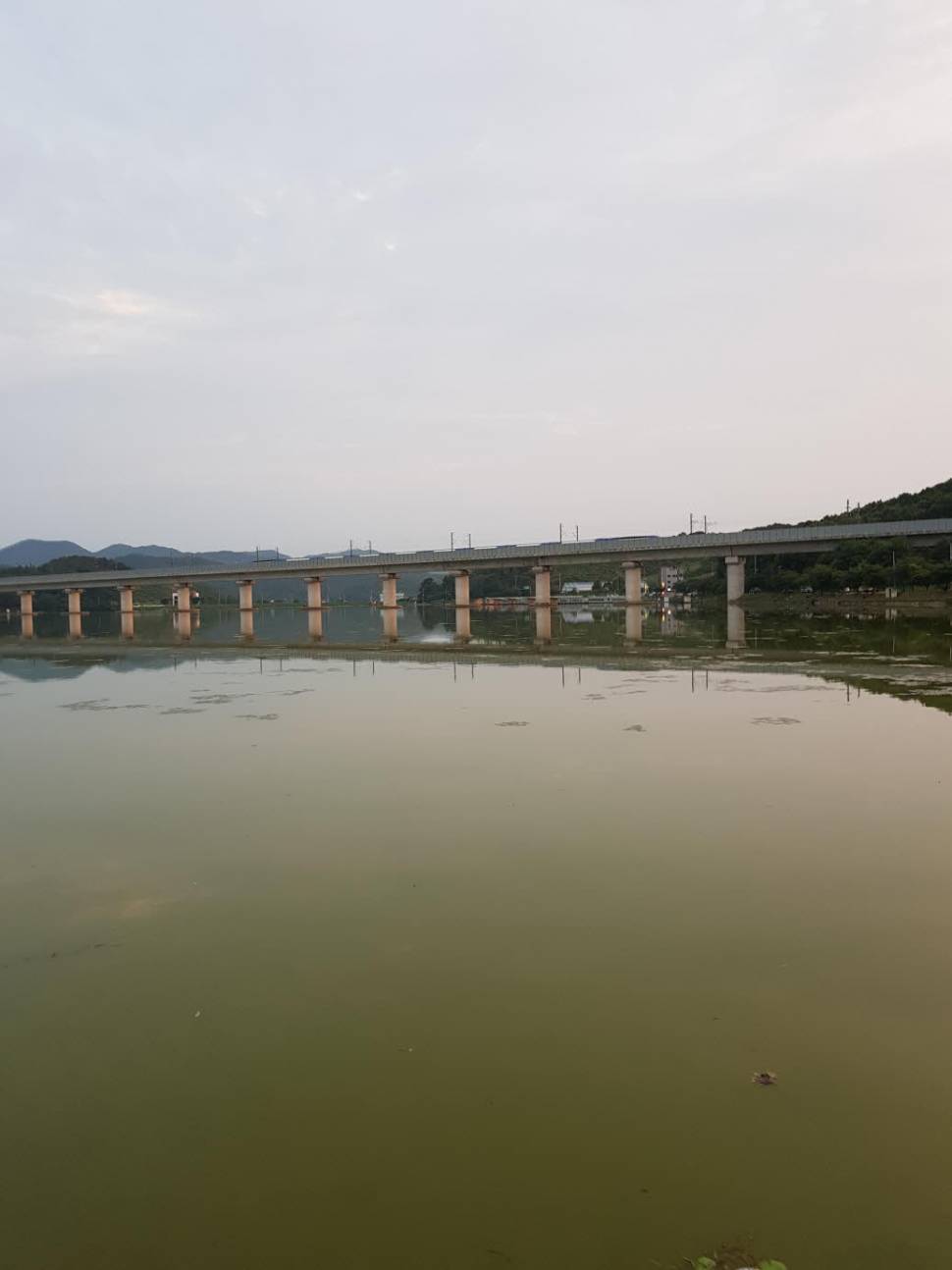 낚시에 대해서227번째 네번째 출조 (낚싯대포럼 - 포럼공통)
