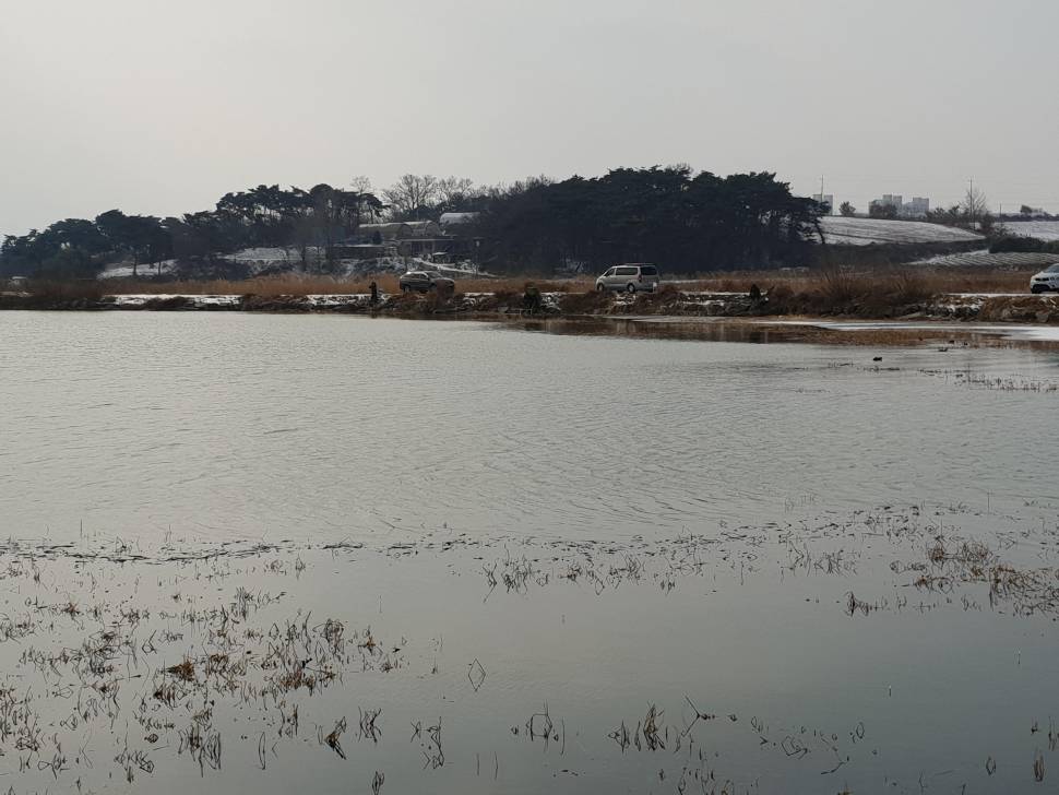 영규 챌린져큐브 사용기 (낚싯대포럼 - 포럼공통)