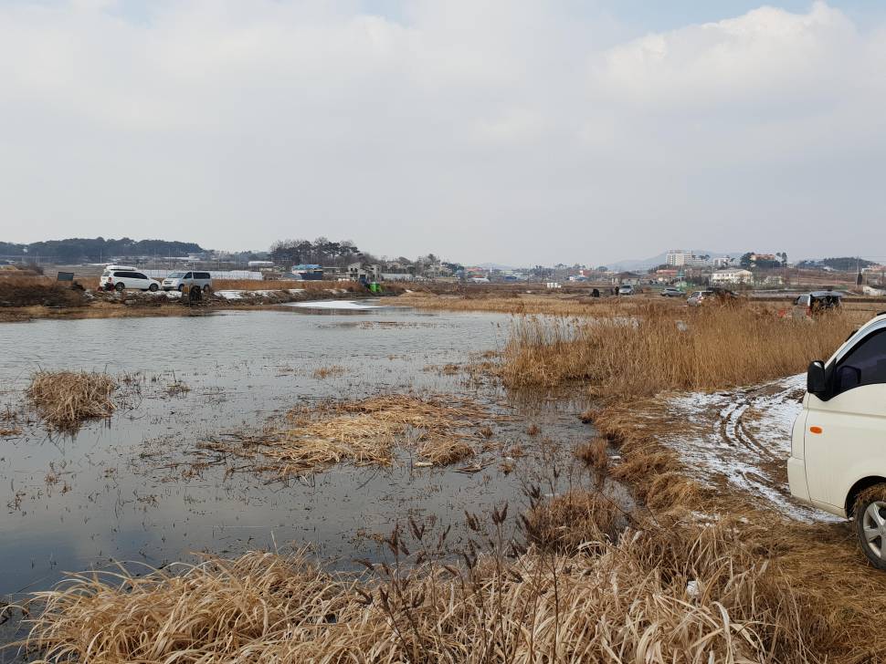 영규 챌린져큐브 사용기 (낚싯대포럼 - 포럼공통)