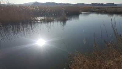 서산 저수지 수로권 월척조황 (조황조행기 - 낚시점조황)