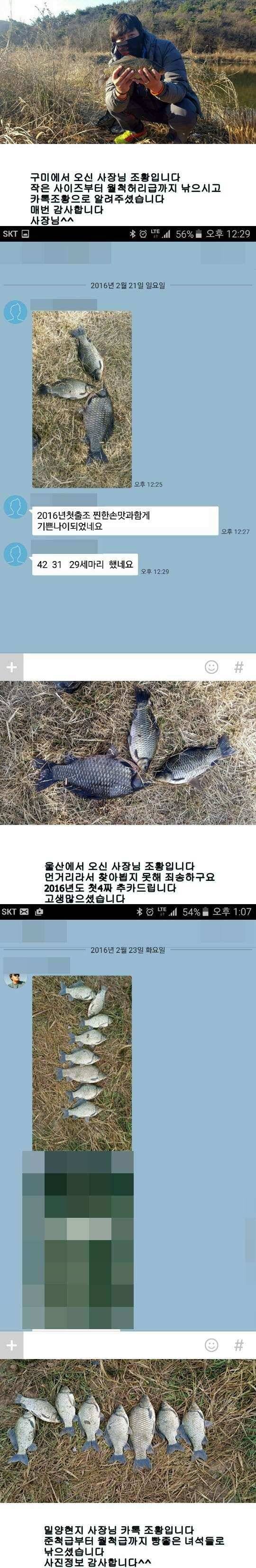 밀양옥산낚시 조황안내217224까지 (조황조행기 - 낚시점조황)