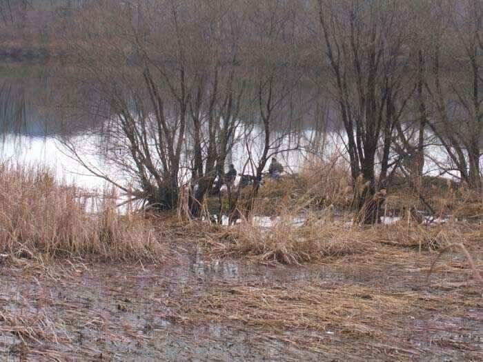 움직이는 월척붕어 (조황조행기 - 낚시점조황)