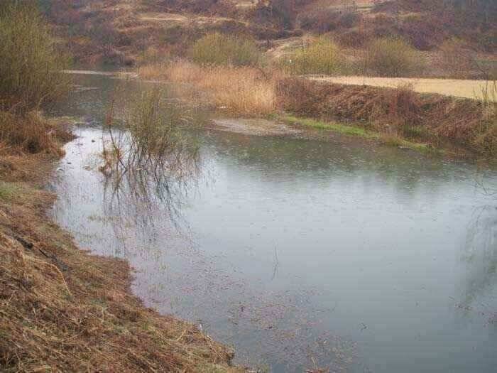 움직이는 월척붕어 (조황조행기 - 낚시점조황)