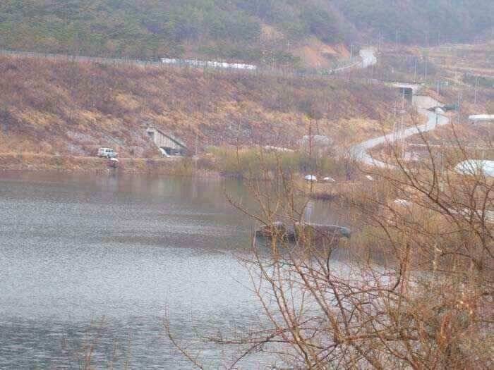 움직이는 월척붕어 (조황조행기 - 낚시점조황)