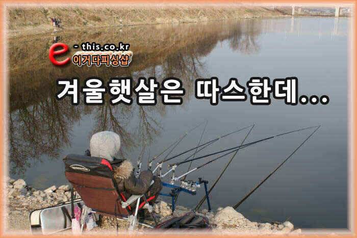 2월 3주차 금호강 조황정보 (조황조행기 - 낚시점조황)