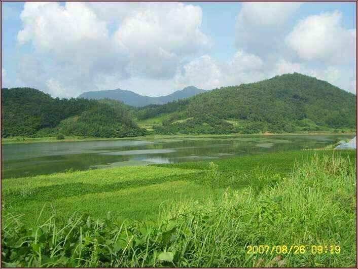 고흥권 조황소식 (조황조행기 - 낚시점조황)