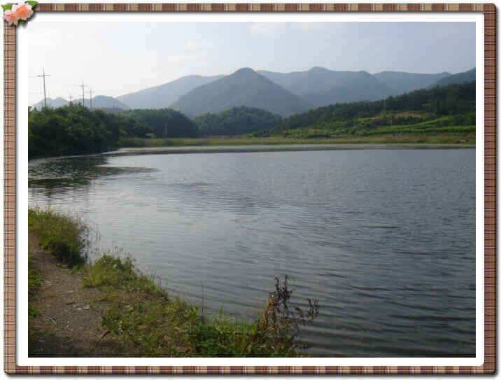 청통권 저수지 현황입니다 (조황조행기 - 낚시점조황)