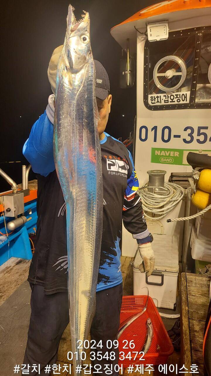 제주에이스호26일대갈치조황입니다전좌석봉돌투승기장착977톤12석운영문의010 3548 3472010 3860 3472 (조황조행기 - 낚시점조황)