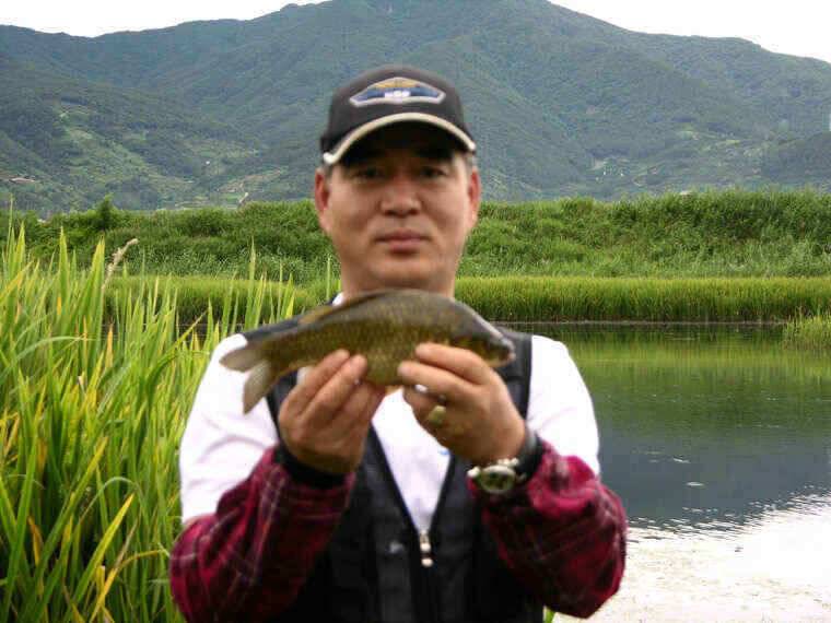 청도천또다시 월척이나왔습니다 (조황조행기 - 낚시점조황)
