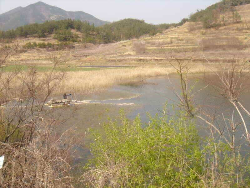 첫 인사올립니다 청통IC낚시입니다 (조황조행기 - 낚시점조황)