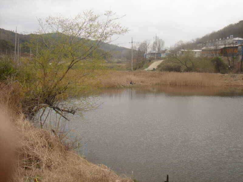 첫 인사올립니다 청통IC낚시입니다 (조황조행기 - 낚시점조황)