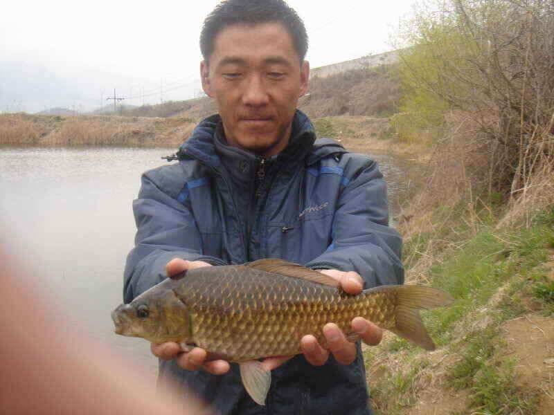 첫 인사올립니다 청통IC낚시입니다 (조황조행기 - 낚시점조황)