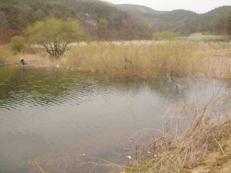 첫 인사올립니다 청통IC낚시입니다 (조황조행기 - 낚시점조황)