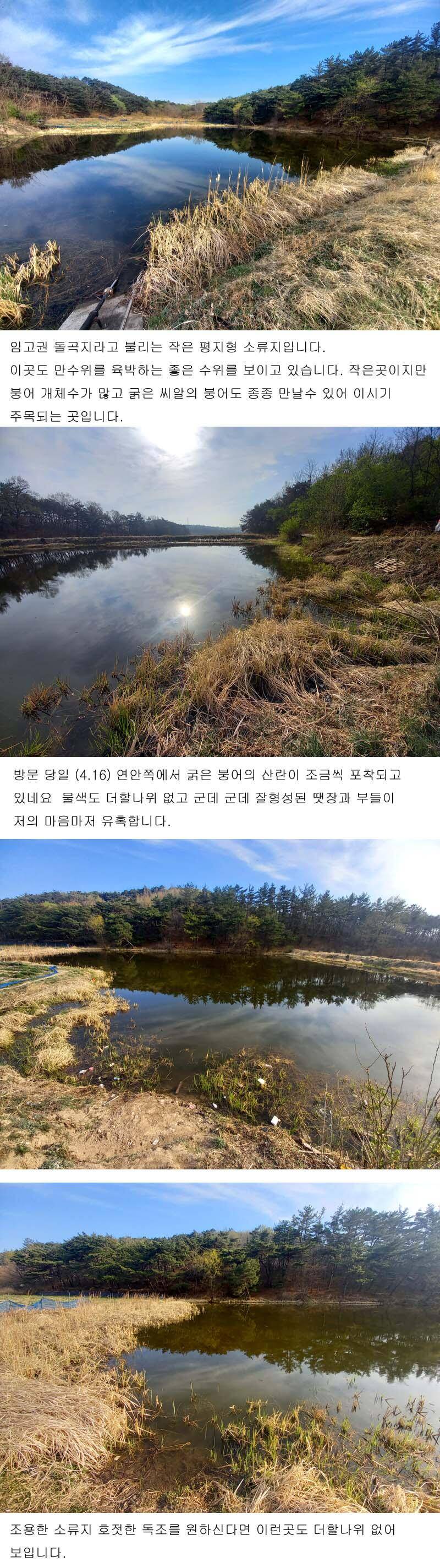 북영천권도 여기 저기 분위기가 올라오네요 (조황조행기 - 낚시점조황)