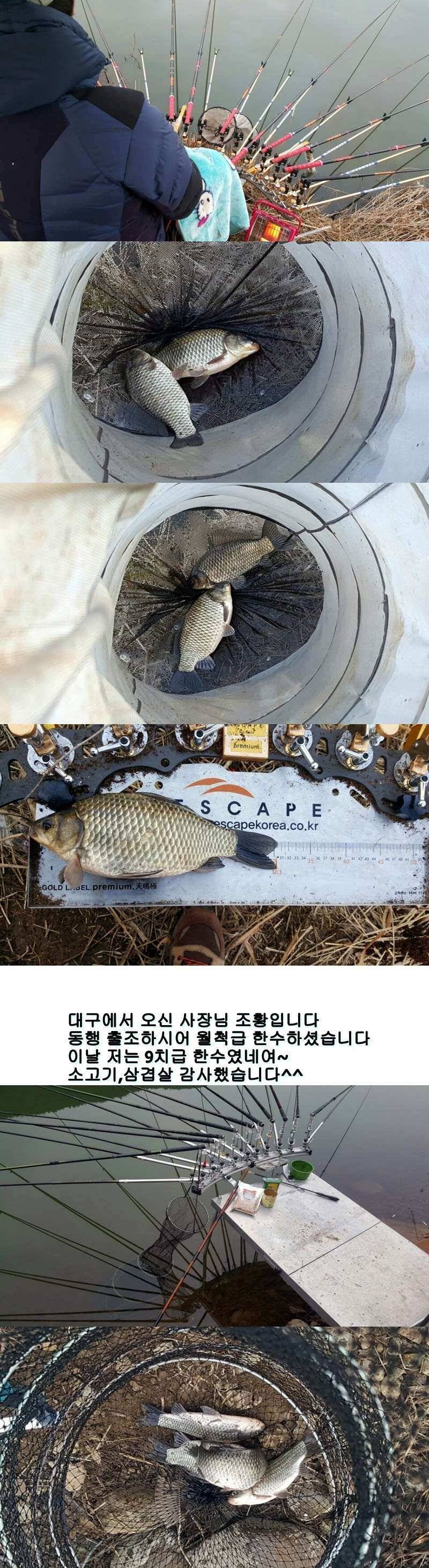 밀양옥산낚시 조황안내217224까지 (조황조행기 - 낚시점조황)