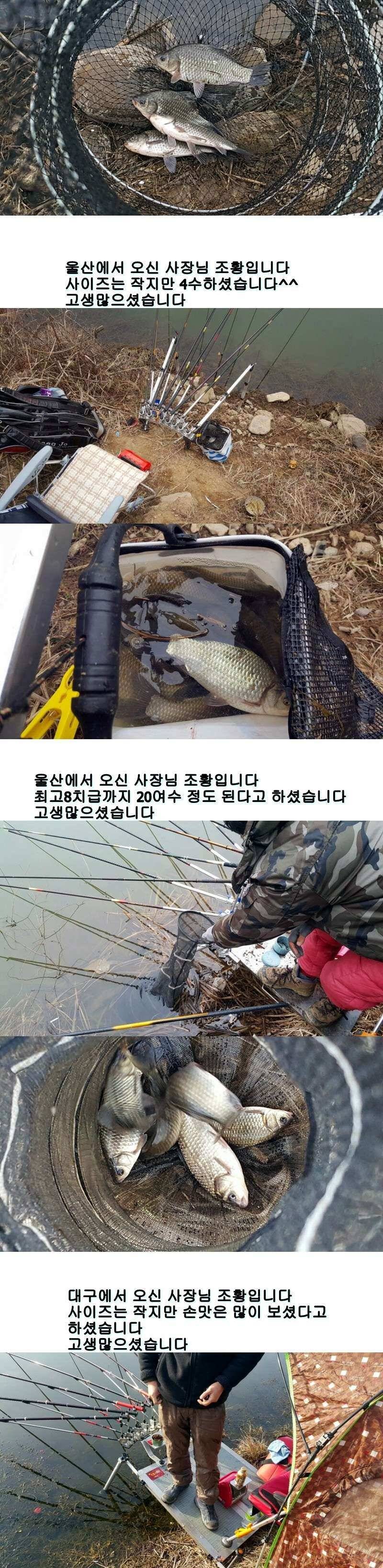 밀양옥산낚시 조황안내217224까지 (조황조행기 - 낚시점조황)