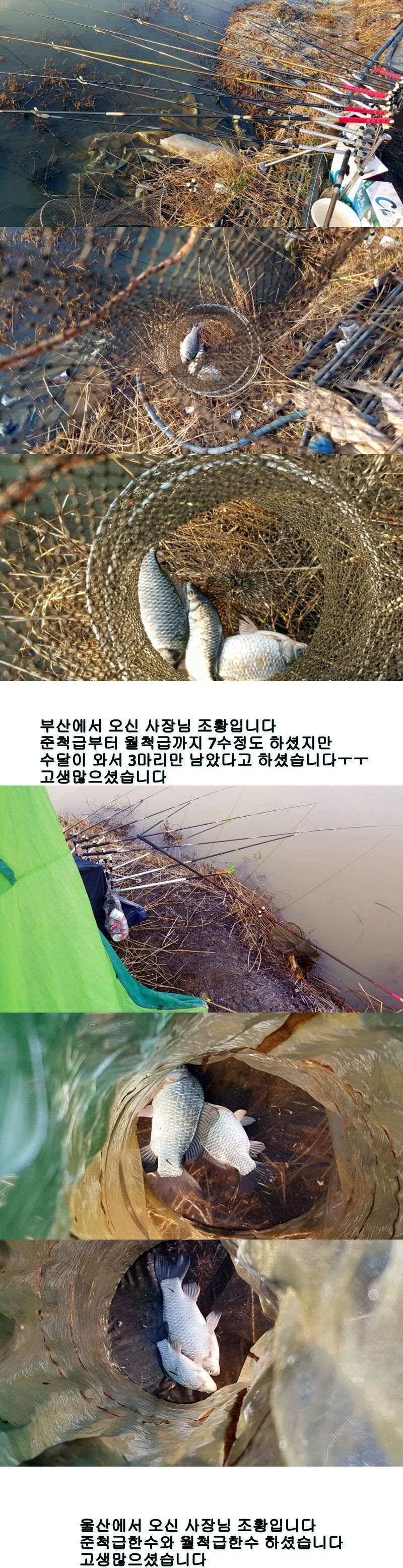 밀양옥산낚시 조황안내217224까지 (조황조행기 - 낚시점조황)