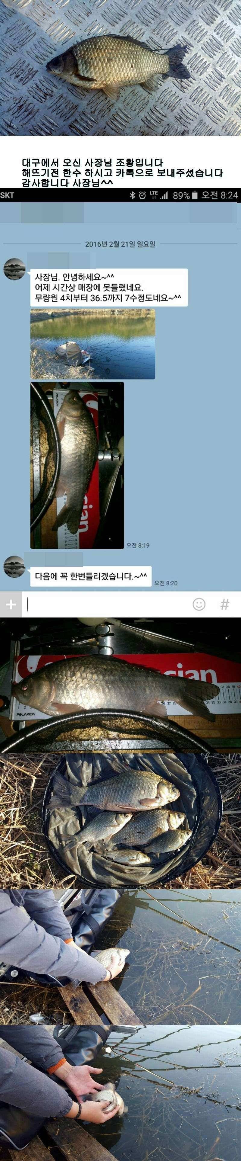 밀양옥산낚시 조황안내217224까지 (조황조행기 - 낚시점조황)