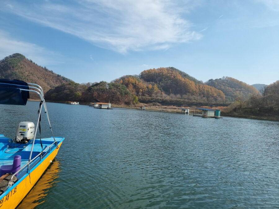 대물45다 (조황조행기 - 낚시점조황)