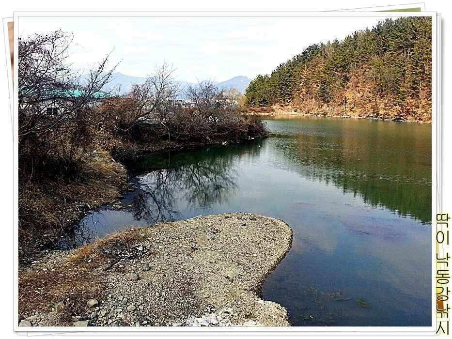 낙동강낚시밀양부산양산 (조황조행기 - 낚시점조황)
