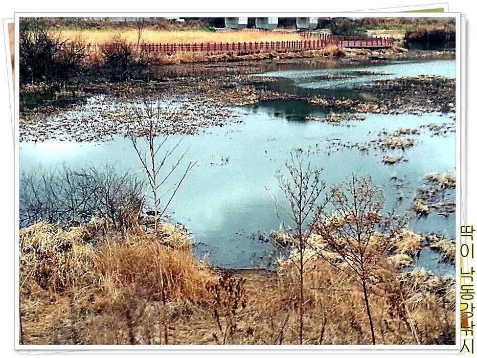 낙동강낚시밀양부산양산 (조황조행기 - 낚시점조황)