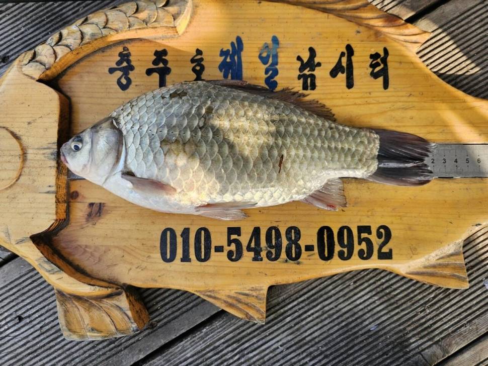 제일4짜대물월척들 (조황조행기 - 낚시점조황)