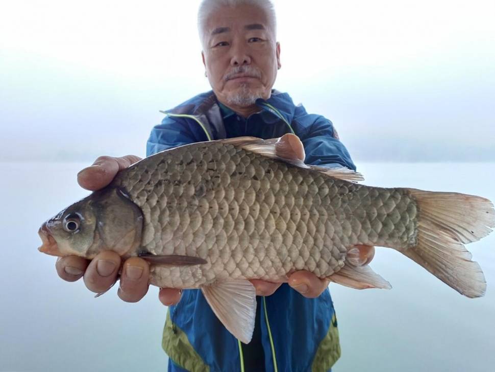제일4짜 찌맛손맛 준월척 (조황조행기 - 낚시점조황)