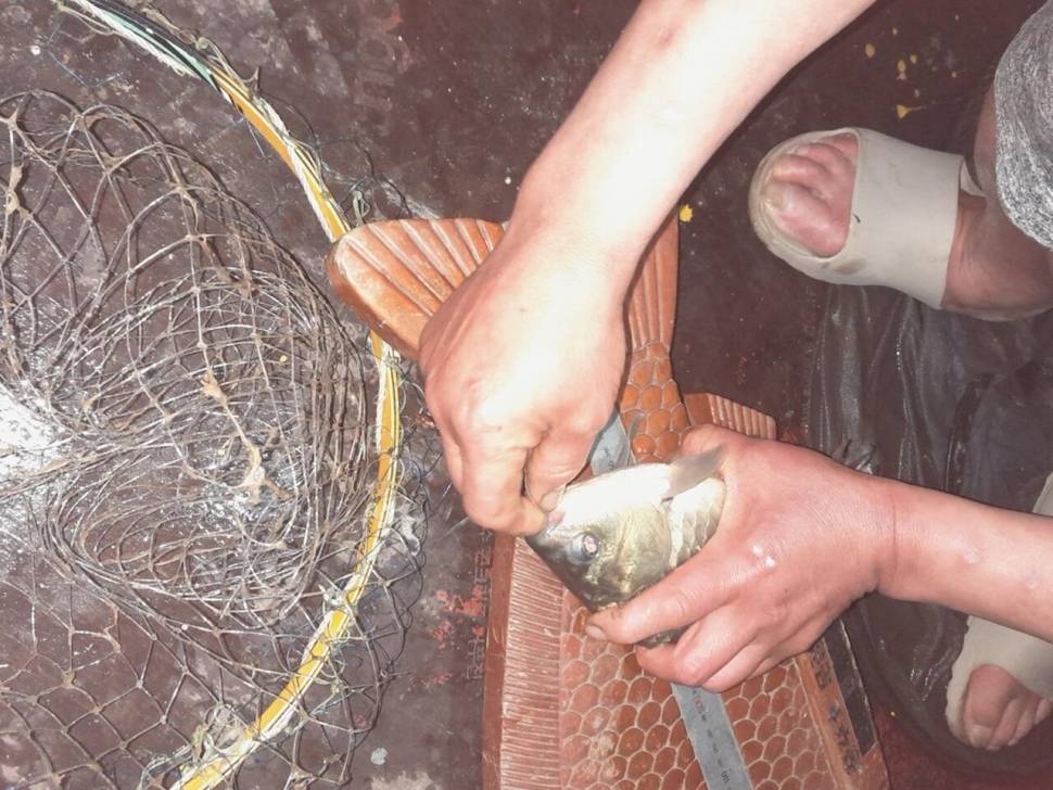 문골낚시 허리급 (조황조행기 - 낚시점조황)