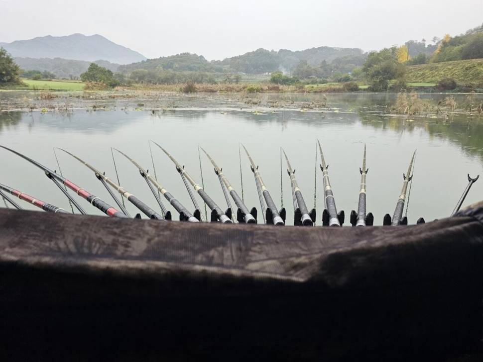 키다리월척제일월척 (조황조행기 - 낚시점조황)