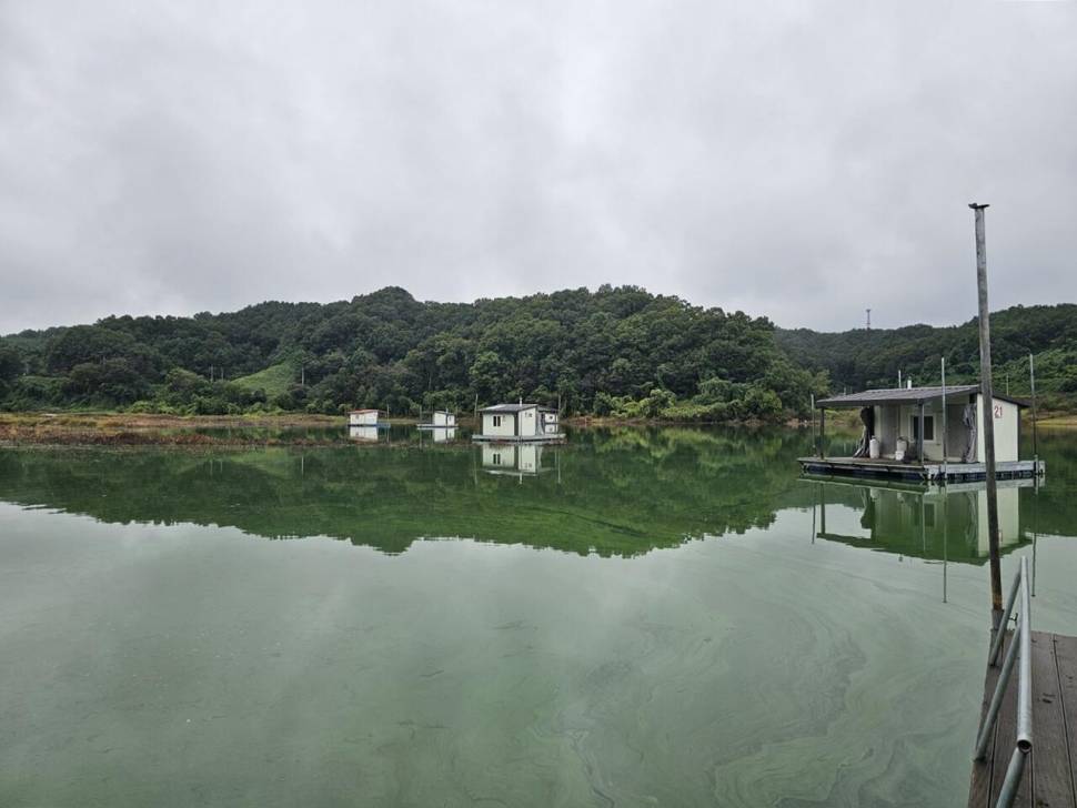 제일낚시4짜월척 (조황조행기 - 낚시점조황)
