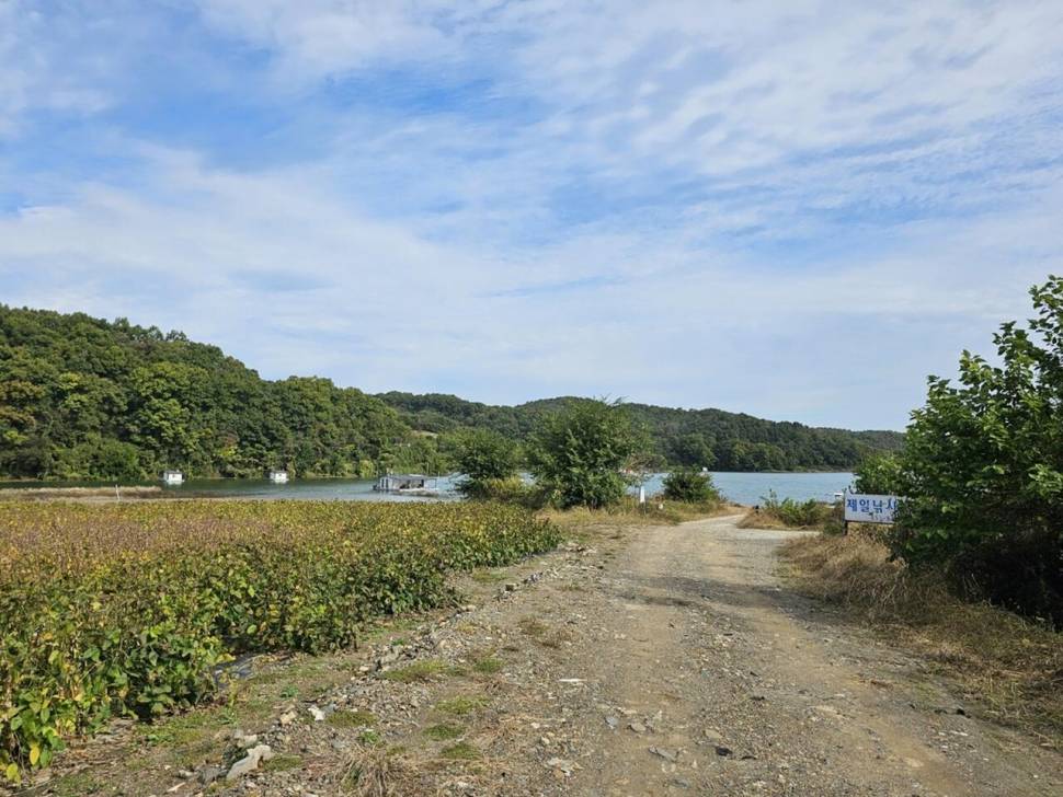 제일39월척 마리수 때붕어 (조황조행기 - 낚시점조황)