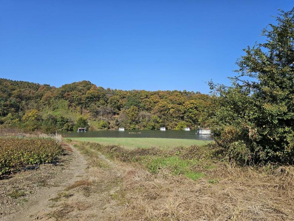 제일허리급월척들 (조황조행기 - 낚시점조황)
