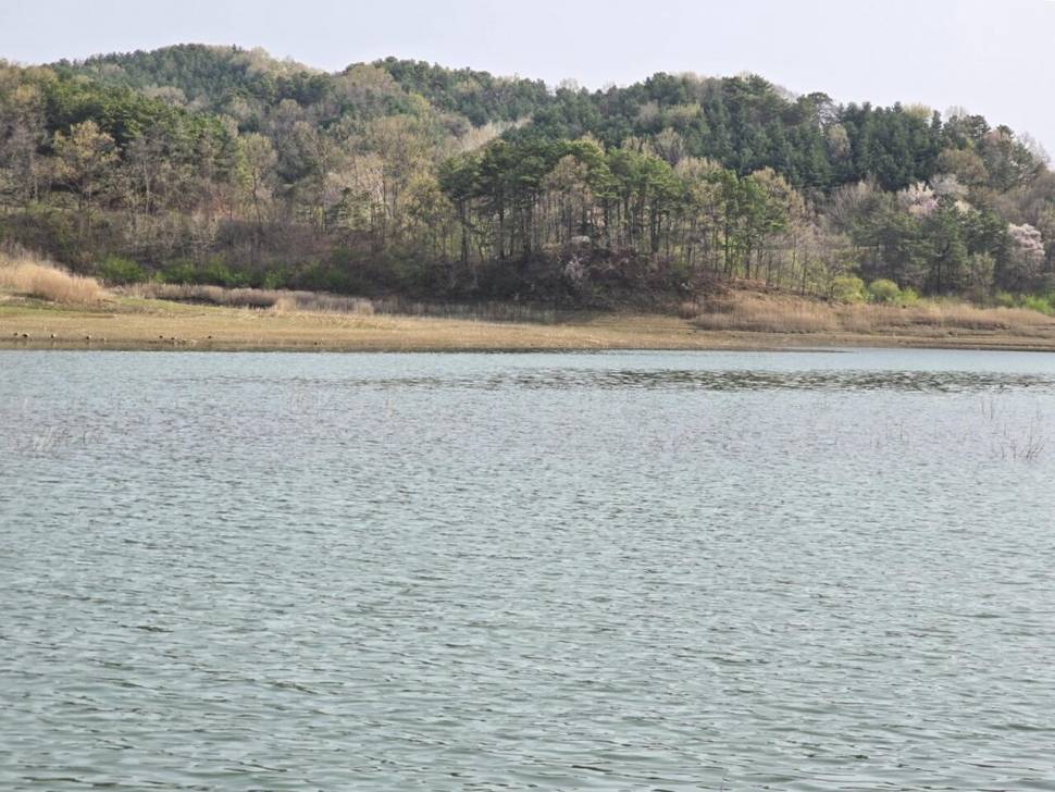 충주호제일44 37 (조황조행기 - 낚시점조황)