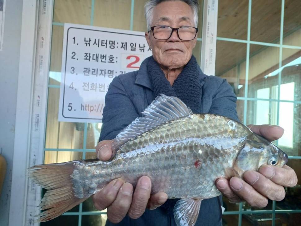 제일허리급월척 (조황조행기 - 낚시점조황)