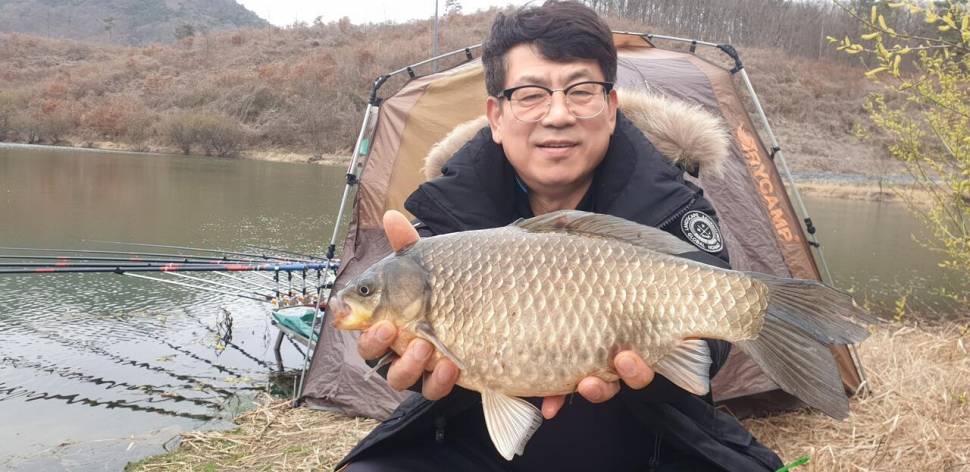 매전지 4342 대물붕어 소식입니다 (조황조행기 - 낚시점조황)