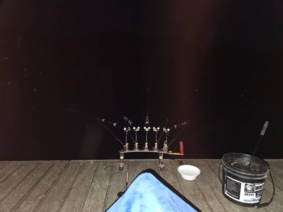 제일낚시 허리급 (조황조행기 - 낚시점조황)