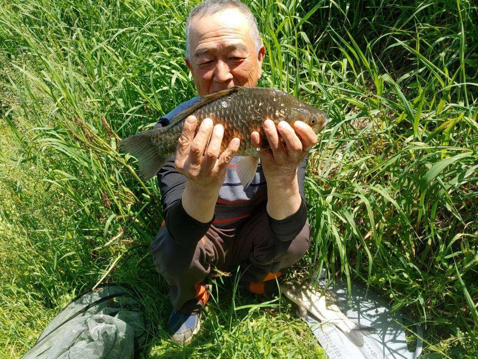 제일월척 달천강 대물월척 (조황조행기 - 낚시점조황)