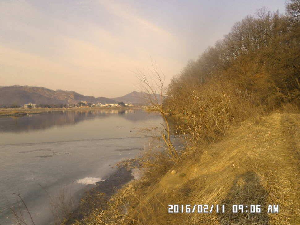 충주 탄금호 낚시 조황 (조황조행기 - 낚시점조황)