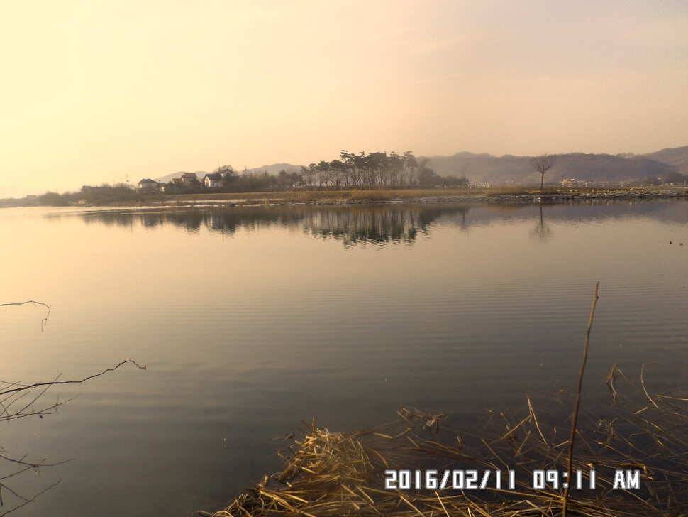 충주 탄금호 낚시 조황 (조황조행기 - 낚시점조황)