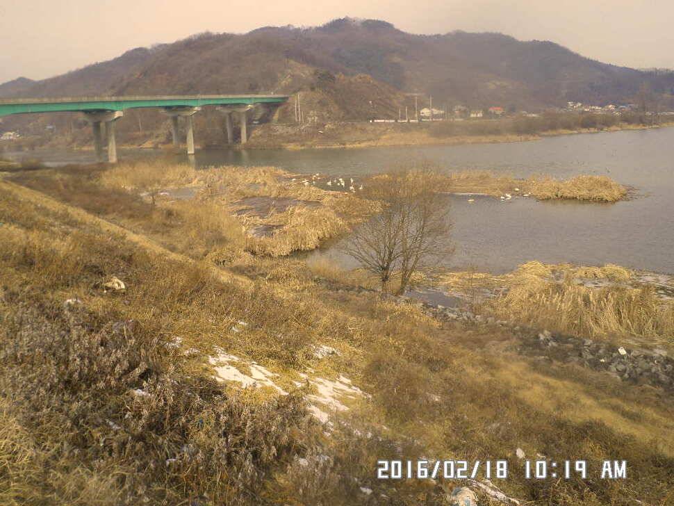 충주 탄금호 낚시 조황 (조황조행기 - 낚시점조황)