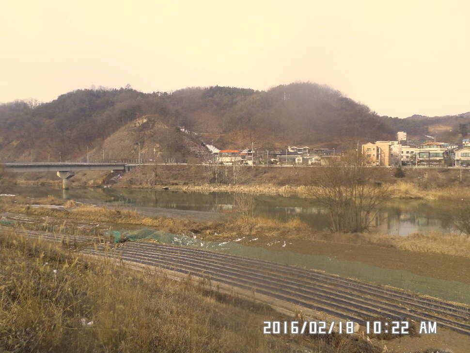 충주 탄금호 낚시 조황 (조황조행기 - 낚시점조황)