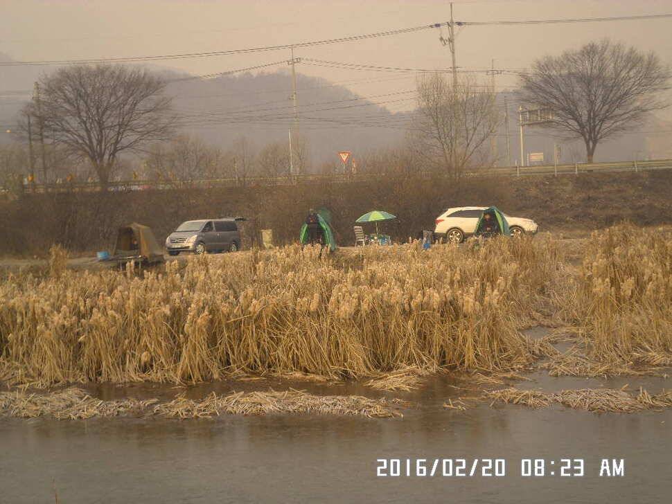 충주 탄금호 낚시 조황 (조황조행기 - 낚시점조황)