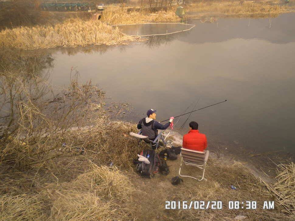충주 탄금호 낚시 조황 (조황조행기 - 낚시점조황)
