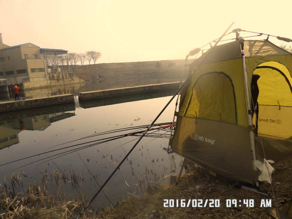 충주 탄금호 낚시 조황 (조황조행기 - 낚시점조황)